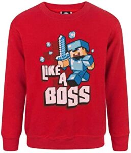 Sudadera Minecraft para Niño con Manga Larga
